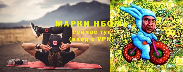 шишки Алексеевка