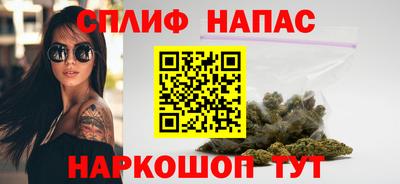 spice Обь