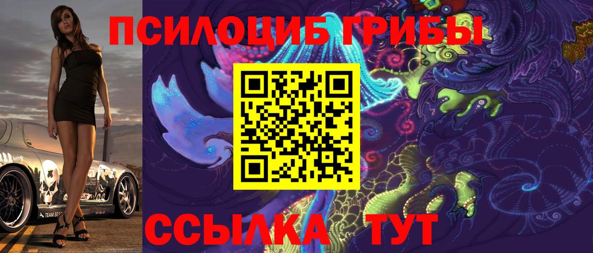Псилоцибиновые грибы мицелий  Галлюциногенные грибы прущие грибы  Вход с VPN  сколько стоит  Павлово 