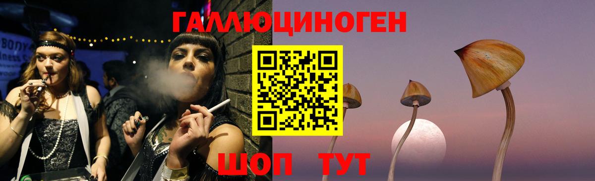 Псилоцибиновые грибы GOLDEN TEACHER Павлово