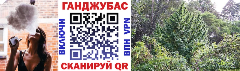Канабис OG Kush Павлово